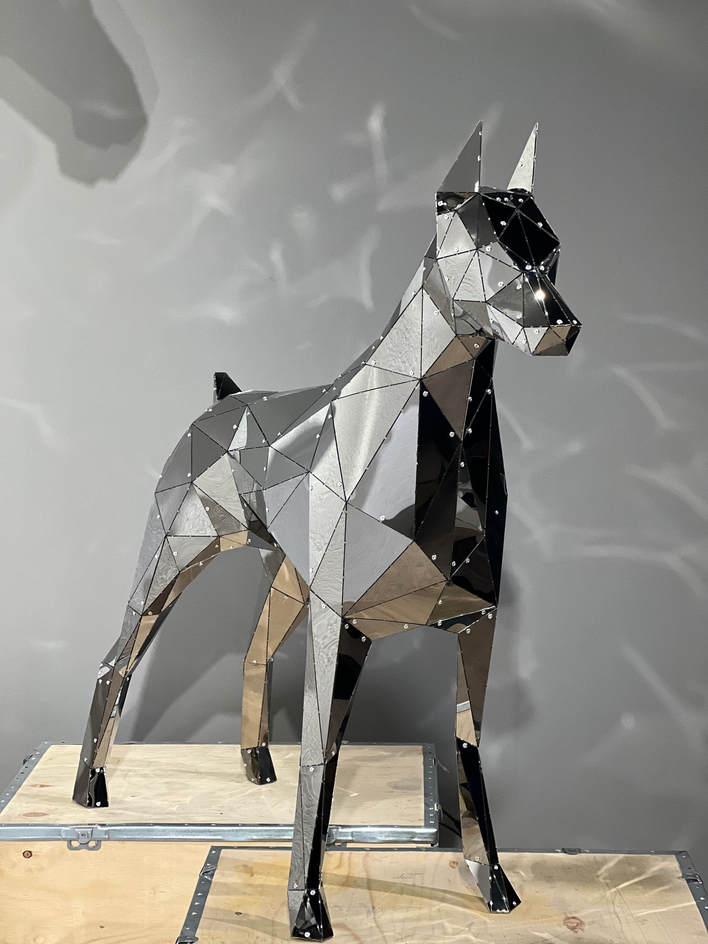 Elite Doberman