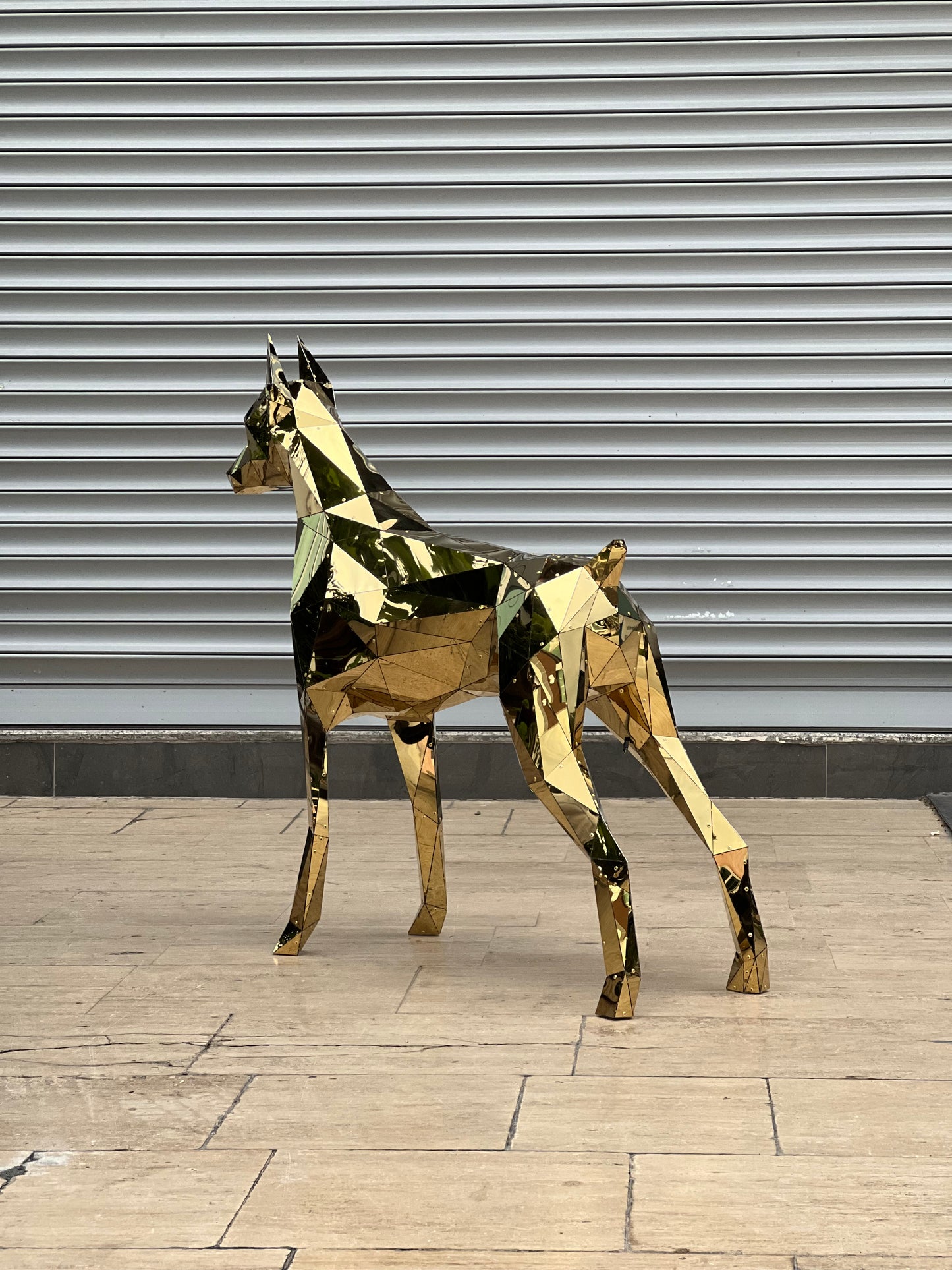 Elite Doberman