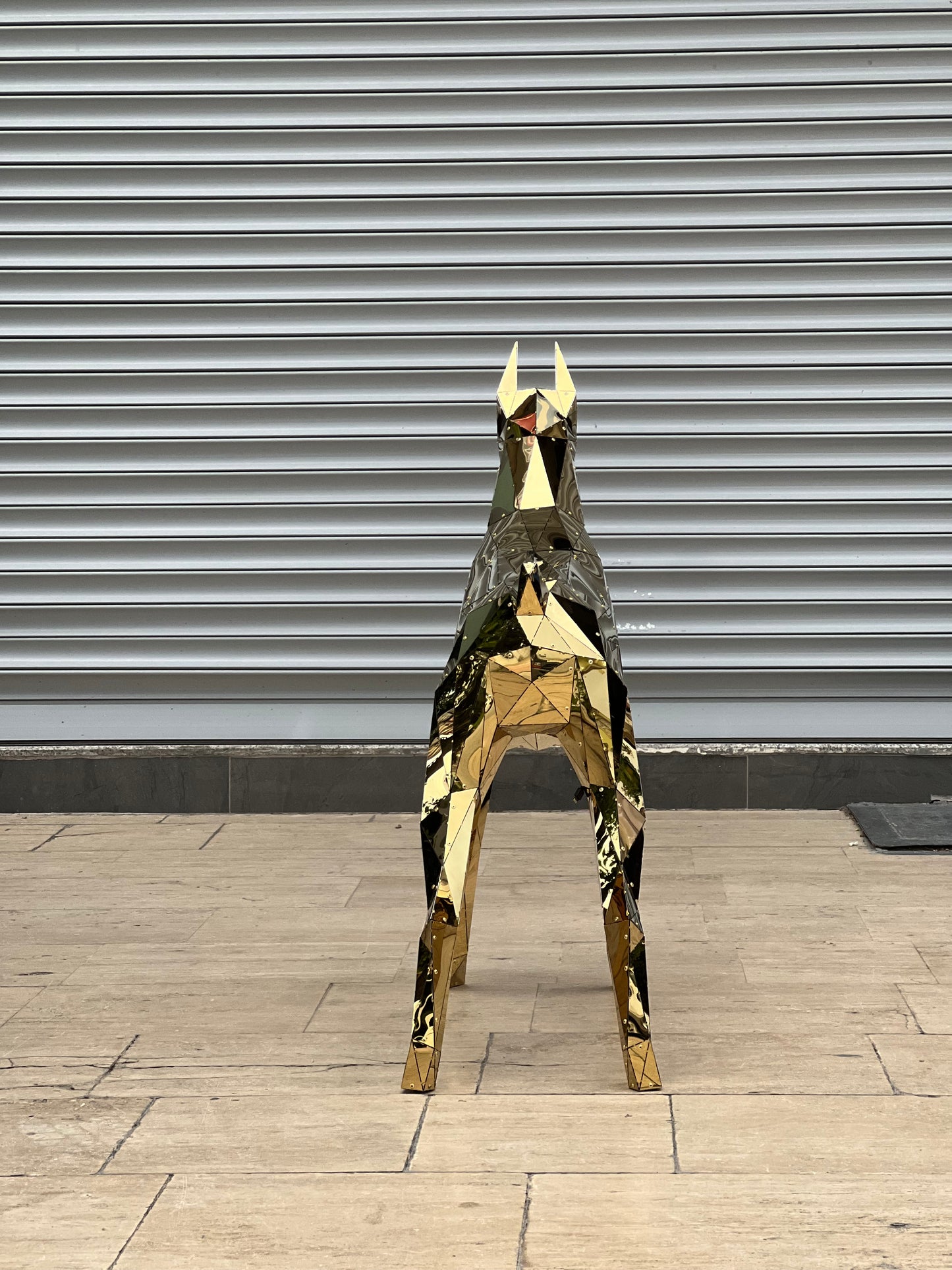 Elite Doberman