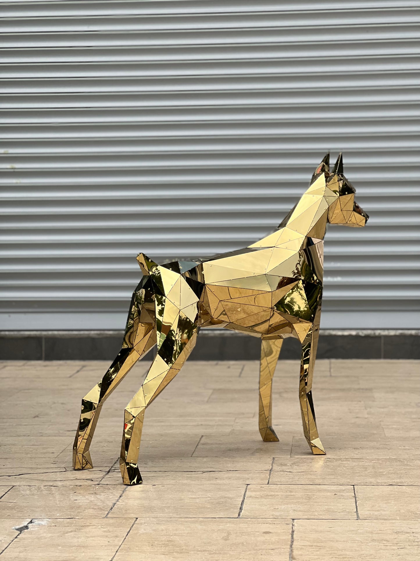 Elite Doberman