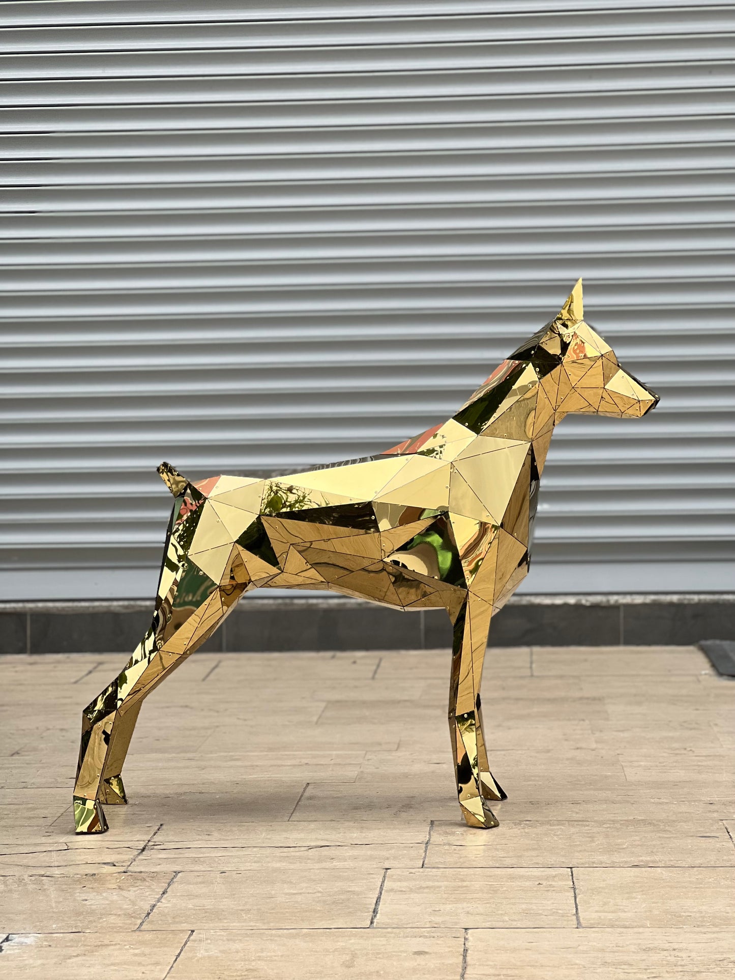 Elite Doberman