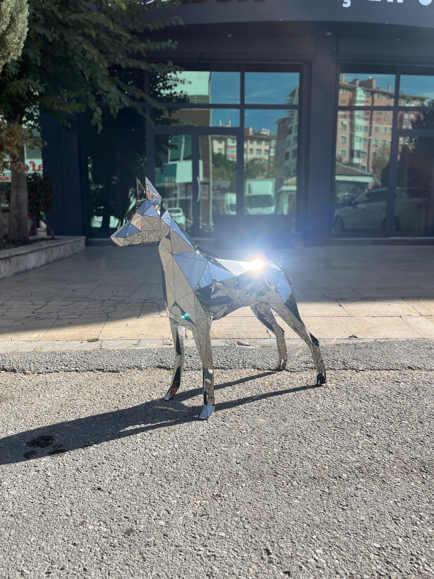 Elite Doberman