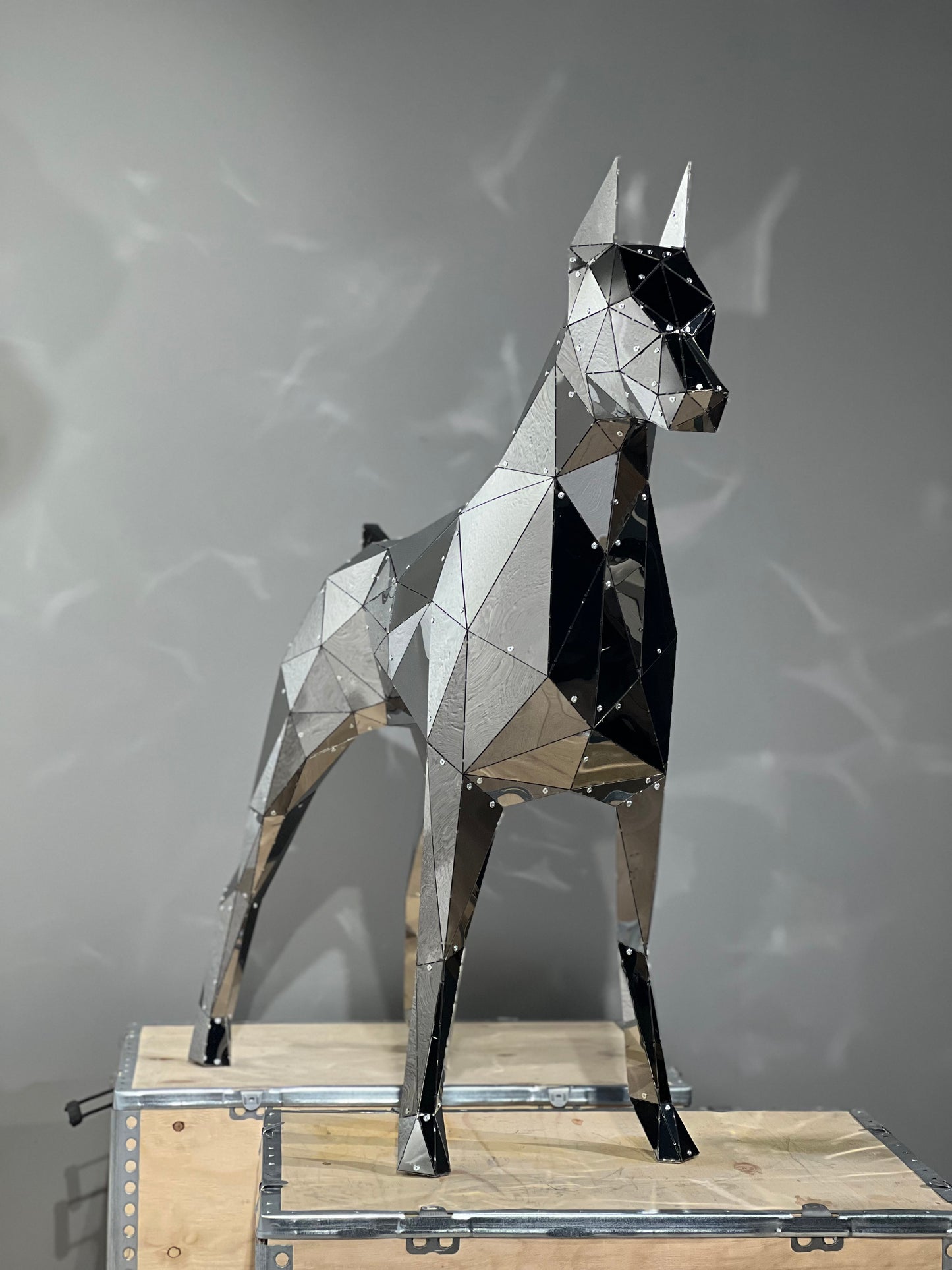 Elite Doberman