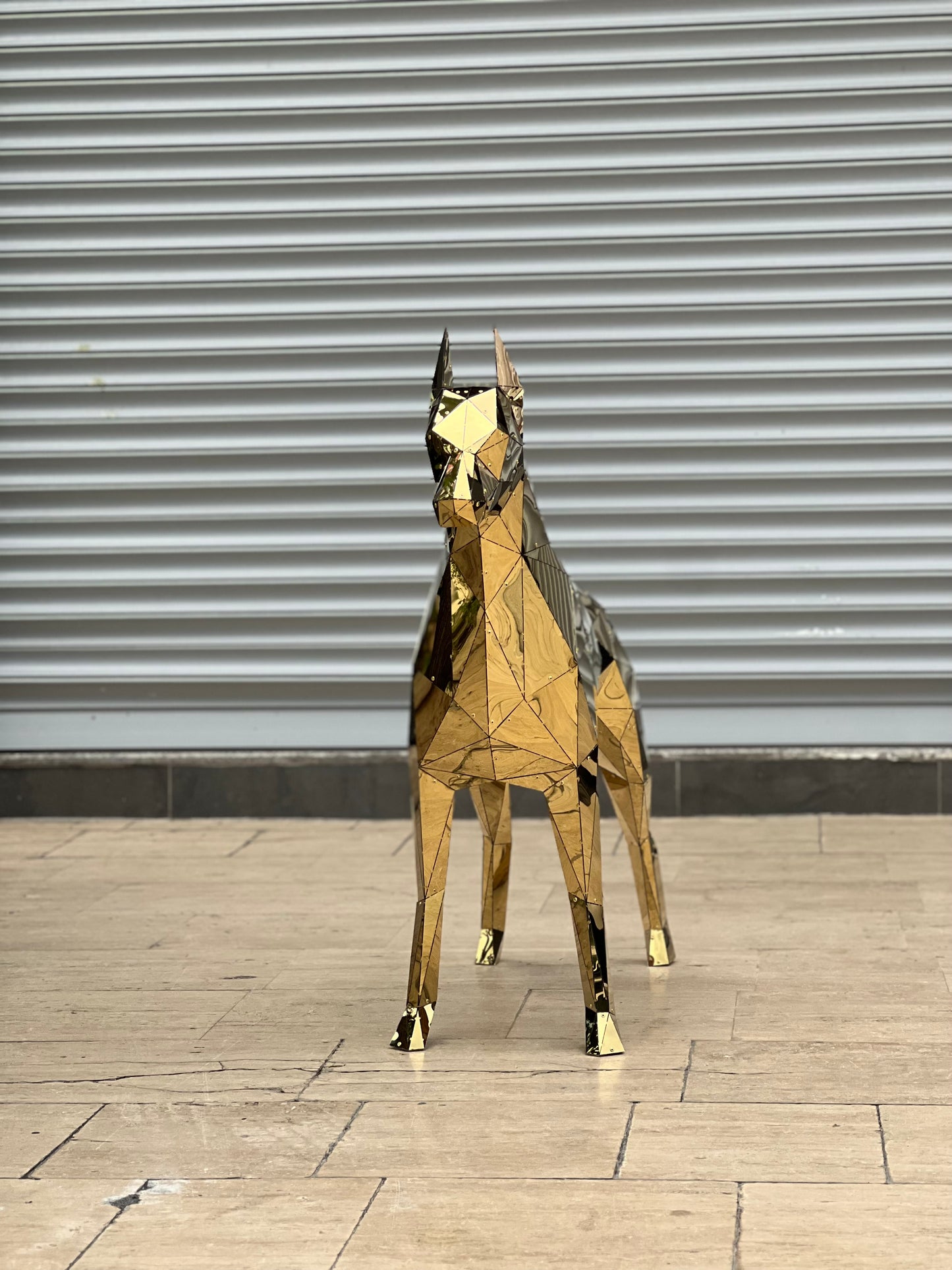 Elite Doberman